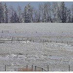acreage in ardrie0101