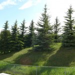 hamptons NW townhouse CAlgary Discount Real Estate 02