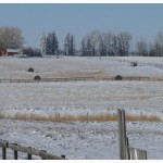 acreage in ardrie01-02
