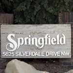 Silversprings NW FlatFee495- townhouse for sale 02