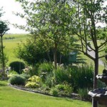 Springbank link02, FlatFee49503
