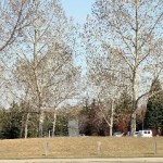 Silversprings NW FlatFee495- townhouse for sale 03