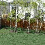 westsprings sw flat fee realty 495-04
