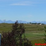 Springbank link02, FlatFee49504