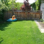 Millrise house for sale, FlatFee495 05