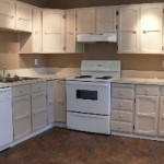 Silversprings NW FlatFee495- townhouse for sale 08