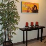 garrison green SW townhouse for sale, flatfee495, 11