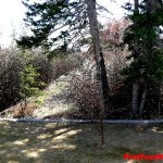 houses in calgary, discount real estate0118