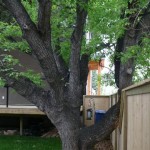 executive home,  FlatFee495 29