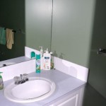 flatfee495-calgary-homes-for-sale-McKenzie-Lake8