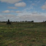 Homes-for-sale-FlatFee495-03