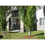 calgary-apartments-for-sale-flatfee495-15
