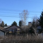calgary-discount-real-estate-flat-fee-495-03