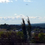 19-calgary-flat-fee-listings-discount-real-estate